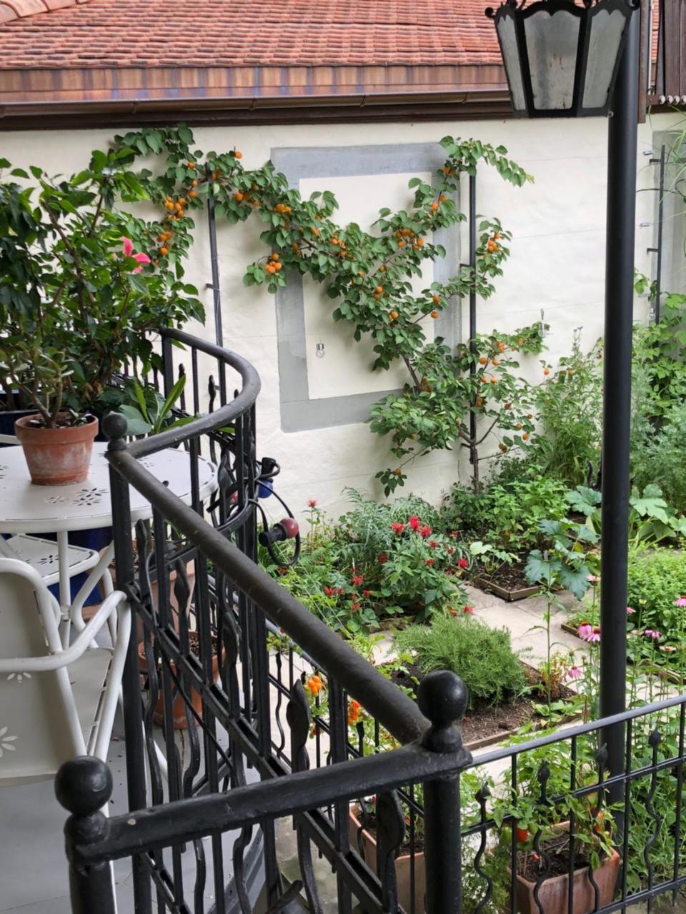 Good4Yew Bnb Zürich Exteriör bild