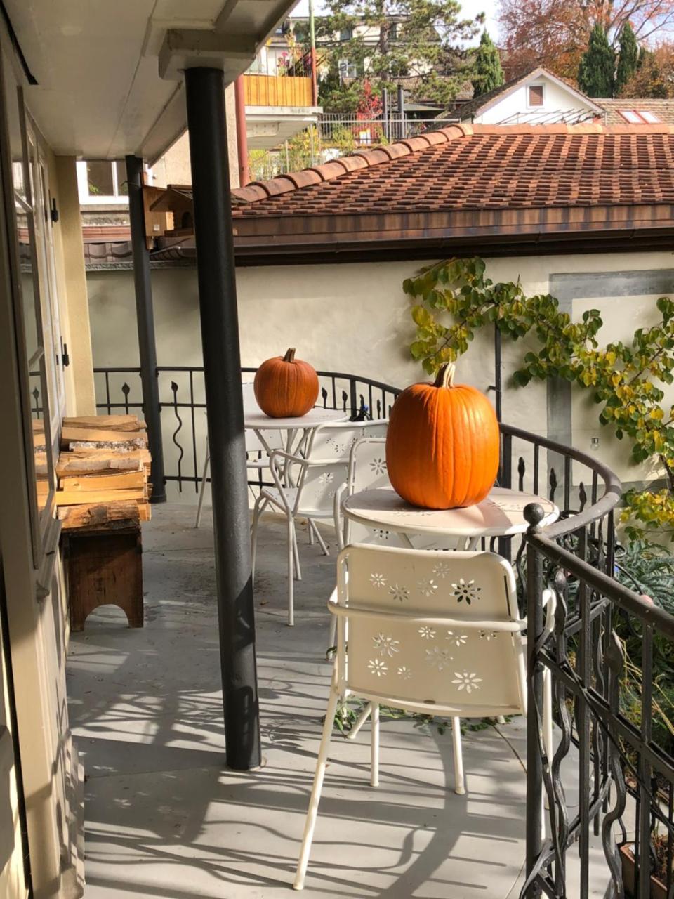 Good4Yew Bnb Zürich Exteriör bild